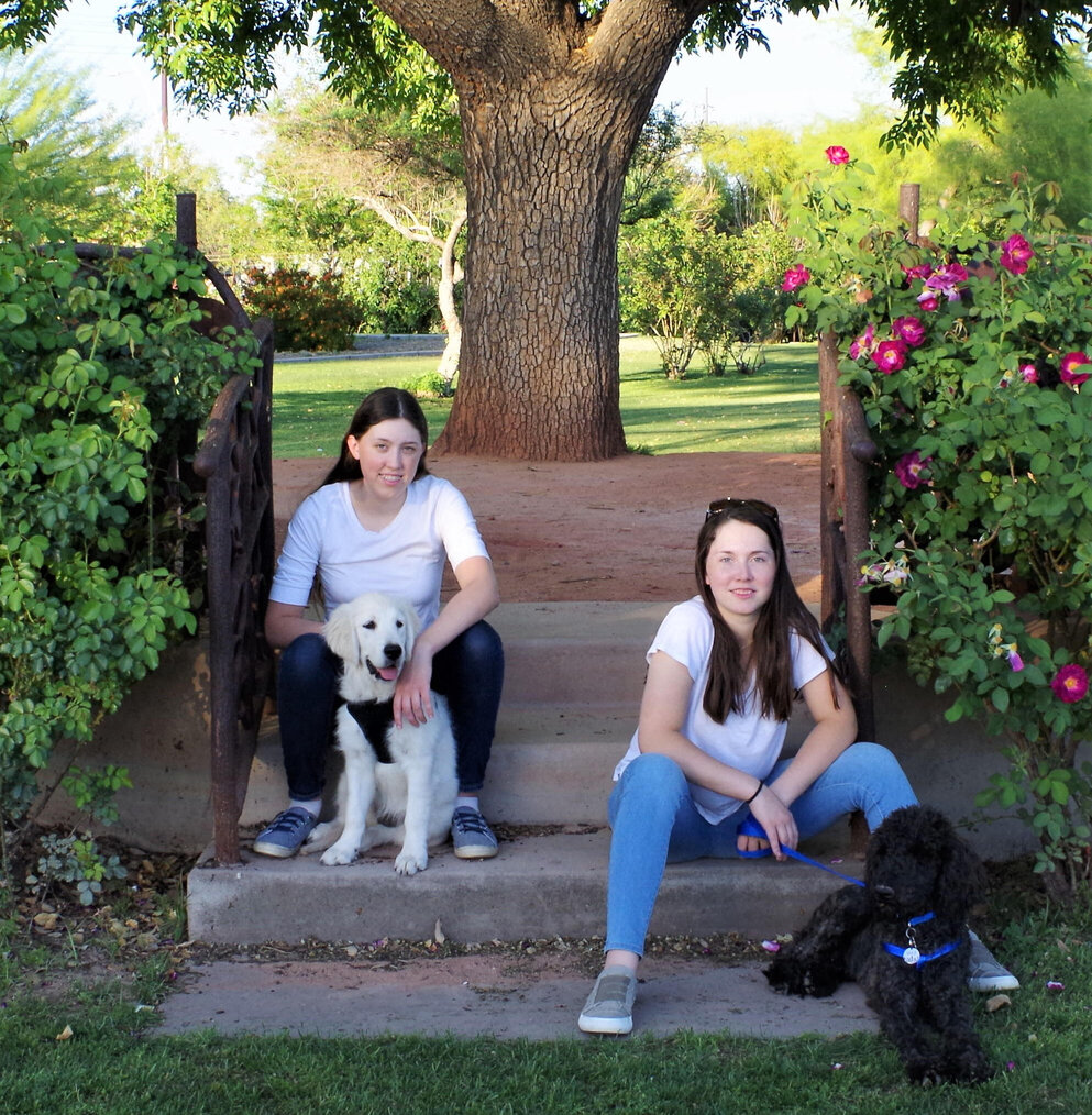 Picture of women with dogs